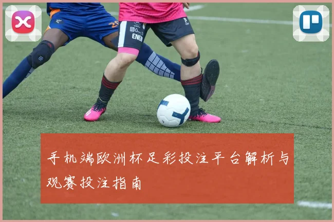 手机端欧洲杯足彩投注平台解析与观赛投注指南