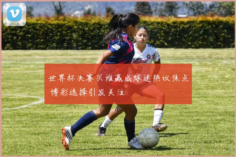 世界杯决赛买谁赢成球迷热议焦点 博彩选择引发关注